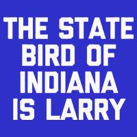 The State Bird Of Indiana Is Larry Funny Basketball Mesh Reversible Basketball Jersey Tank