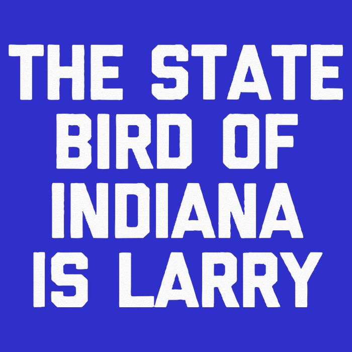 The State Bird Of Indiana Is Larry Funny Basketball Mesh Reversible Basketball Jersey Tank