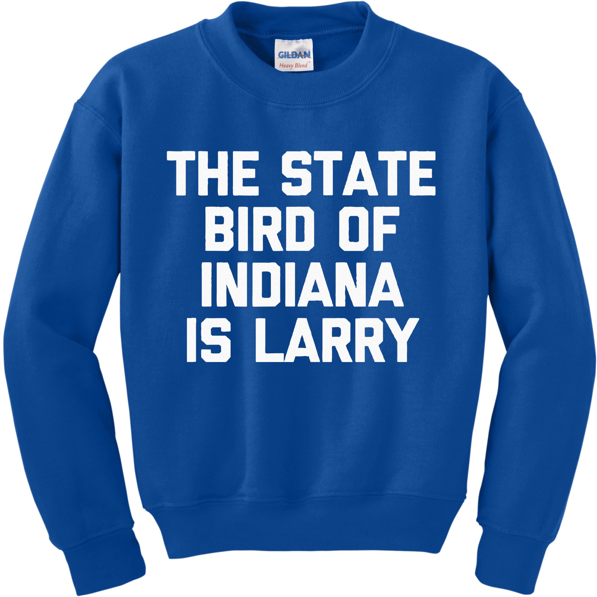 The State Bird Of Indiana Is Larry Funny Basketball Kids Sweatshirt