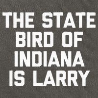 The State Bird Of Indiana Is Larry Funny Basketball Cotton Canvas Backpack