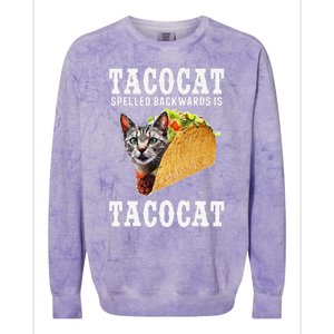 Tacocat Spelled Backwards Is Tacocat Funny Cat Gift Colorblast Crewneck Sweatshirt