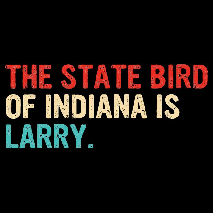 The State Bird Of Indiana Is Larry Vintage T-Shirt