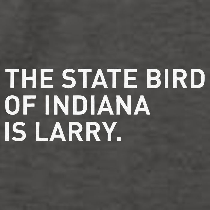The State Bird Of Indiana Is Larry Vector Backpack