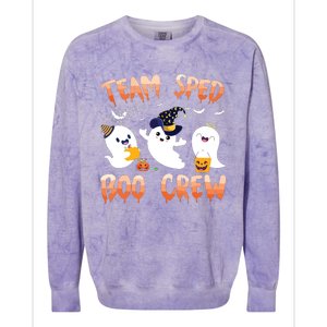 Team SPED Boo Crew Halloween Ghost SPED Special Ed Teacher Colorblast Crewneck Sweatshirt