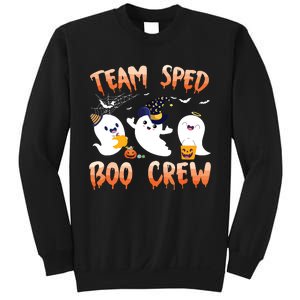 Team SPED Boo Crew Halloween Ghost SPED Special Ed Teacher Sweatshirt