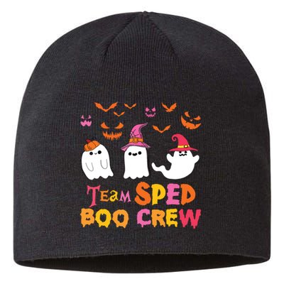 Team Sped Boo Crew Cute Ghost Halloween Costume Teacher Sustainable Beanie