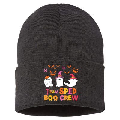 Team Sped Boo Crew Cute Ghost Halloween Costume Teacher Sustainable Knit Beanie