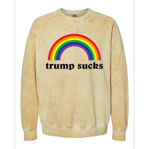 Trump Sucks Big Rainbow Anti Trump 2024 Election Lgbt Gay Colorblast Crewneck Sweatshirt