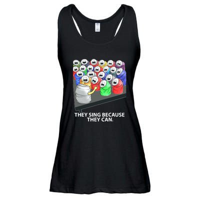 They Sing Because They Can Funny Music Ladies Essential Flowy Tank