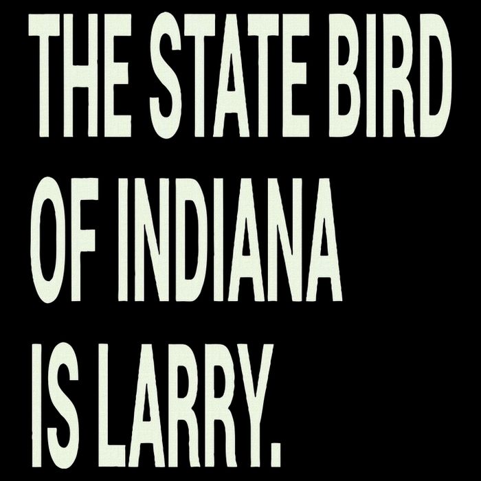 The State Bird Of Indiana Is Larry Apron