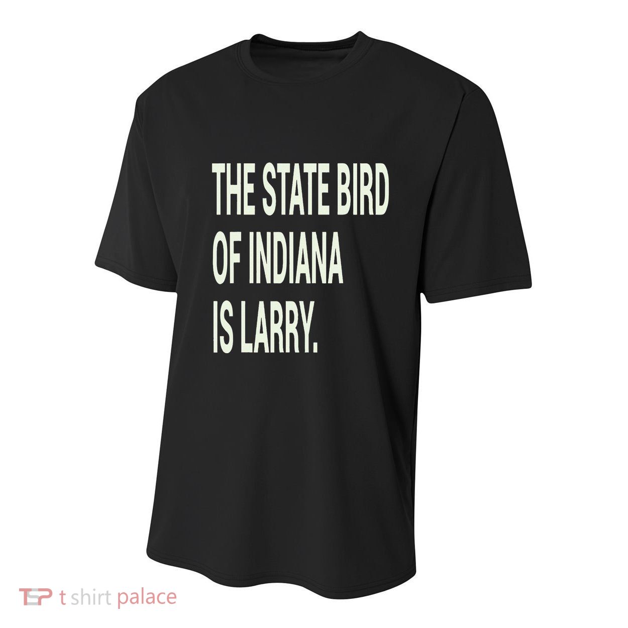 The State Bird Of Indiana Is Larry Youth Performance Sprint T-Shirt