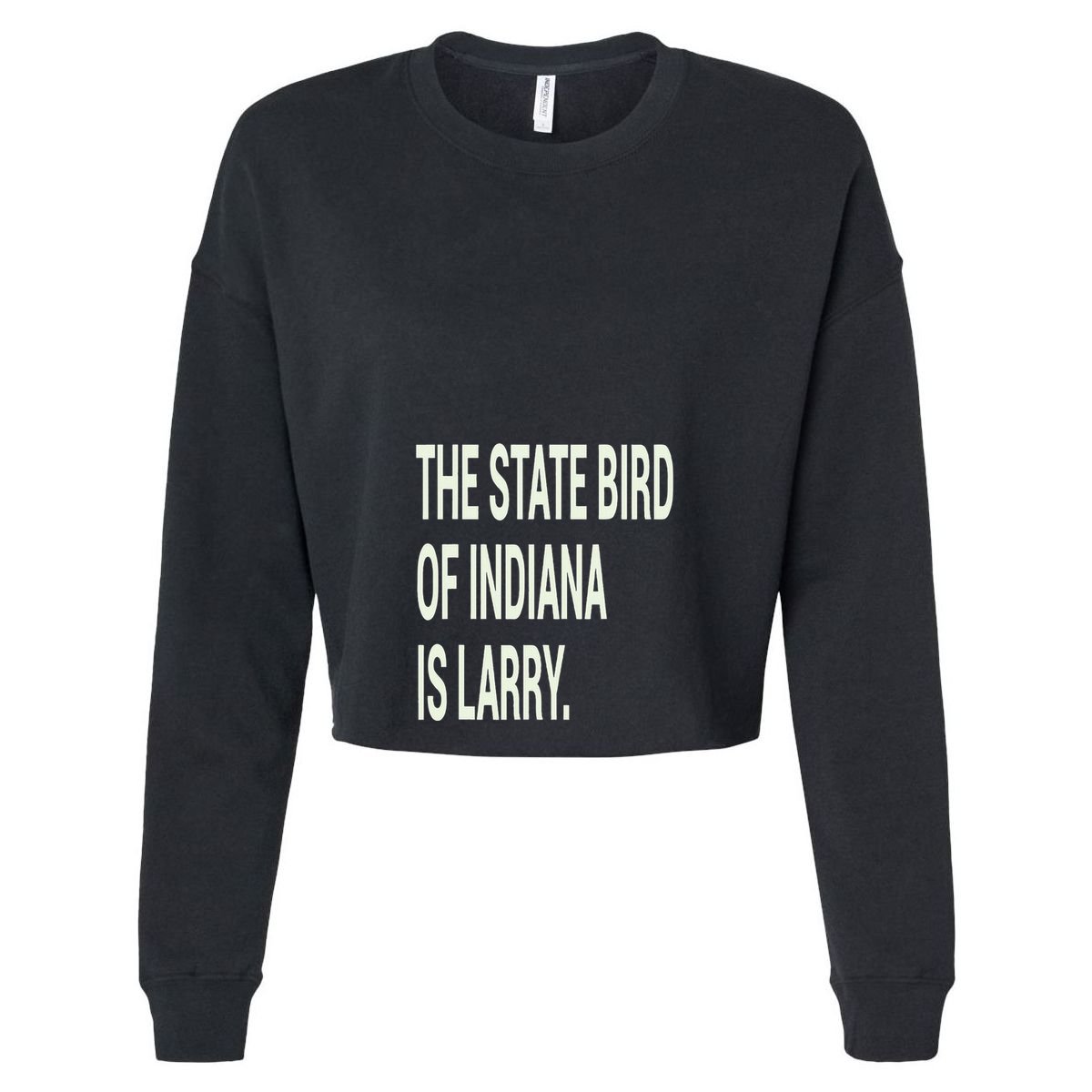 The State Bird Of Indiana Is Larry 16oz Travel Tumbler