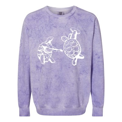 Terrapin Station Classic Colorblast Crewneck Sweatshirt