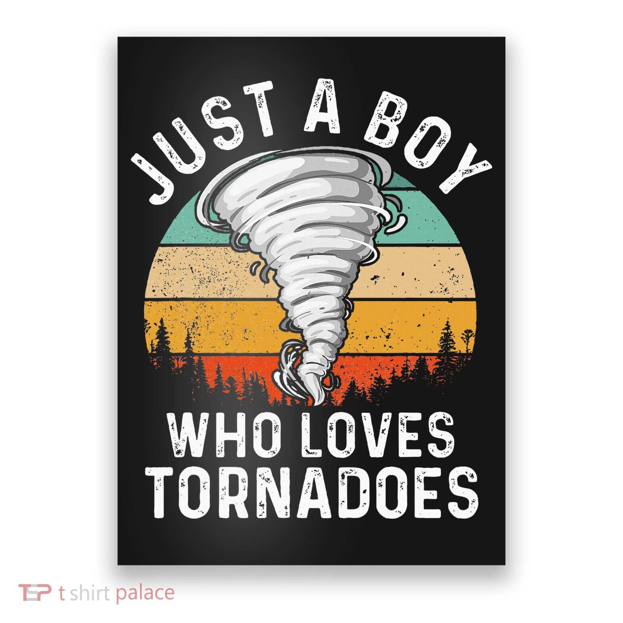 Tornado Storm Chasing Twister Hurricane Poster