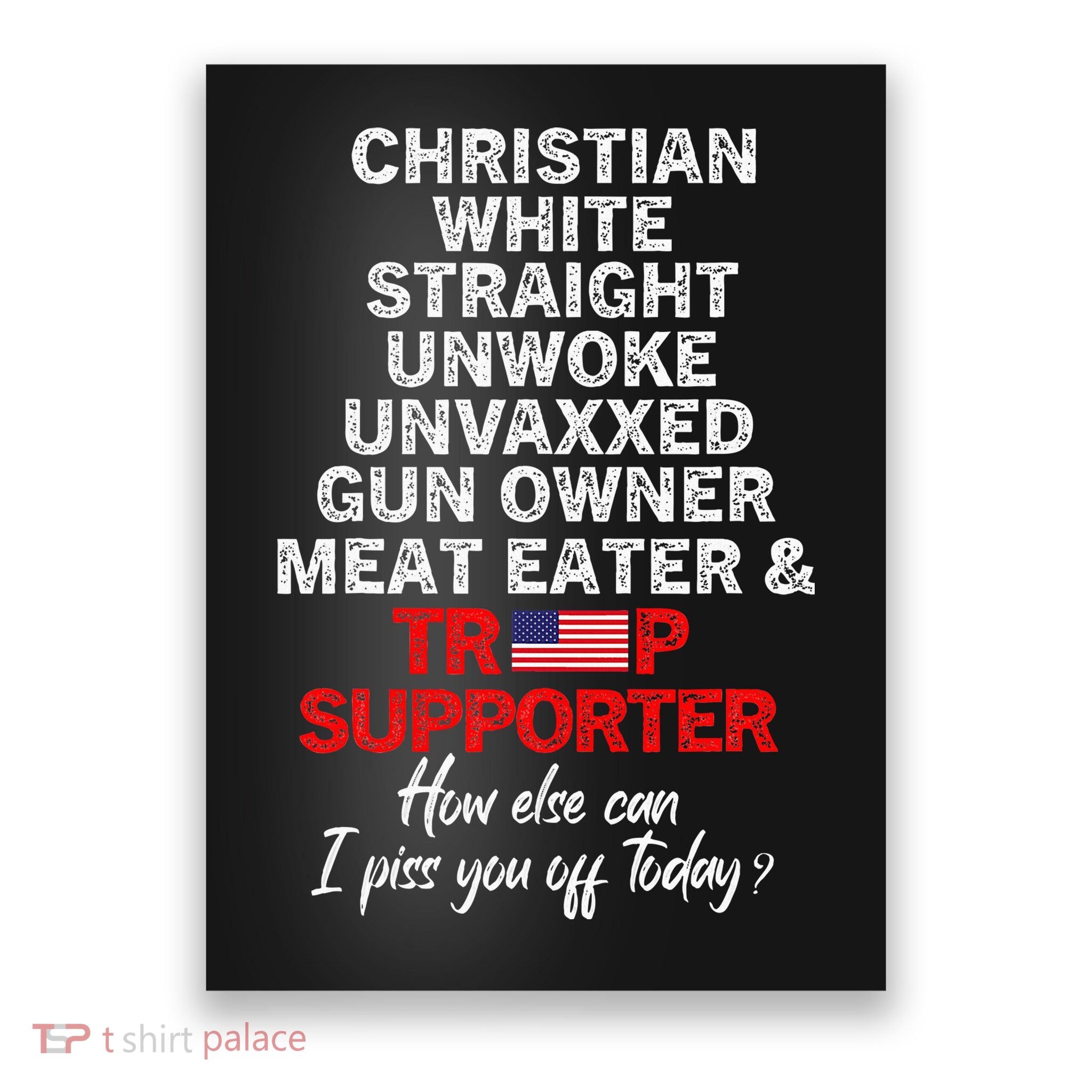 Trump Supporter Christian White Straight Unwoke Unvaxxed Poster
