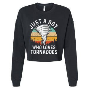 Tornado Storm Chasing Twister Hurricane Cropped Pullover Crew