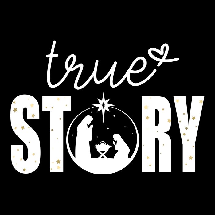 True Story Christmas Holy Christian Women's V-Neck T-Shirt