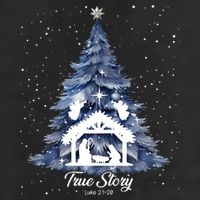 True Story Christmas Jesus Xmas Christian Nativity Sence Cool Comfort Performance Bucket Hat