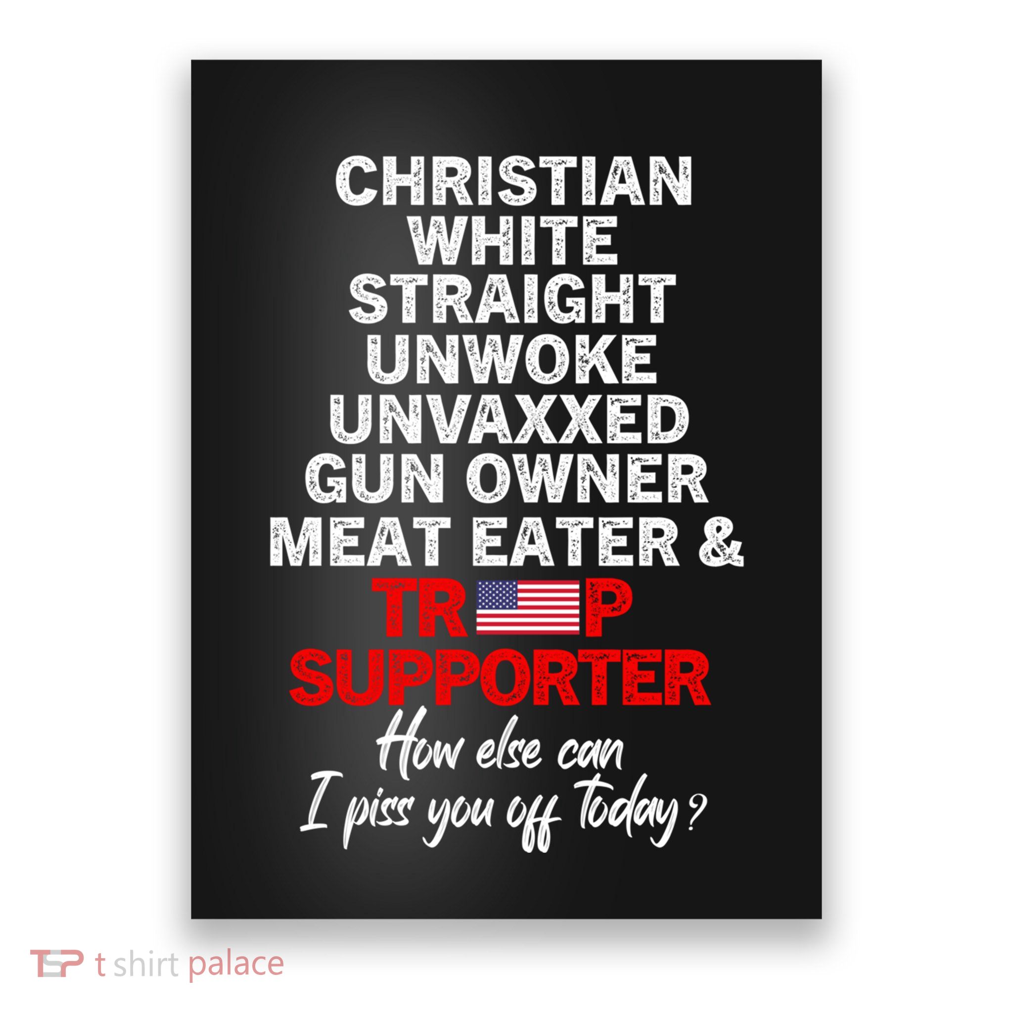 Trump Supporter Christian White Straight Unwoke Unvaxxed Poster