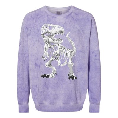 TRex Skeleton Dino Bones Paleontologist Fossil Dinosaur Colorblast Crewneck Sweatshirt