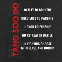 Tang Soo Do Martial Arts Karate Training 11oz C Handle Ceramic Mug