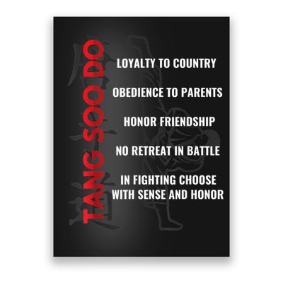 Tang Soo Do Martial Arts Karate Training Poster