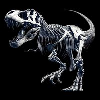 Trex Skeleton Dino Bones Paleontologist Fossil Dinosaur Flat Bill Trucker Hat