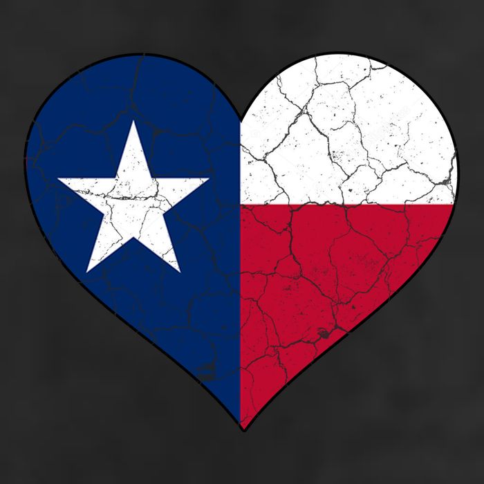 Texas Strong Distressed Heart 7 Panel Mesh Trucker Snapback Hat