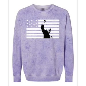 Trump Supporter Fight Merica Take It Back Election 2024 Gift Colorblast Crewneck Sweatshirt