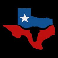 Texas State Flag Flexfit Unipanel Trucker Cap