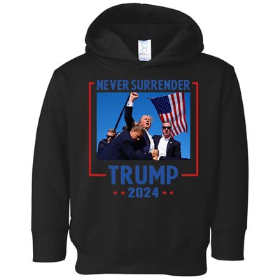 Trump Speech Fist In The Air Pennsylvania Trump 2024 Toddler Hoodie