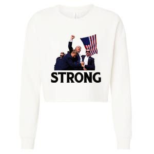 Trump Strong Fist Hand Us Vote Trump 2024 Survives Rally Cropped Pullover Crew