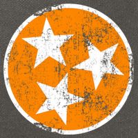 Tennessee State Flag TN Souvenir Football Baseball Sport Fans Cotton Canvas Backpack