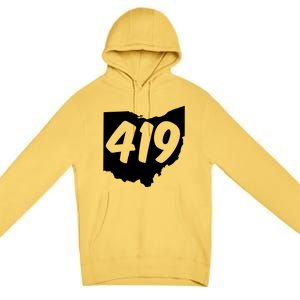 Toledo Sandusky Field 419 Area Code Ohio Cute Gift Premium Pullover Hoodie