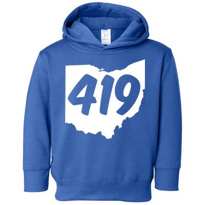 Toledo Sandusky Field 419 Area Code Ohio Cute Gift Toddler Hoodie