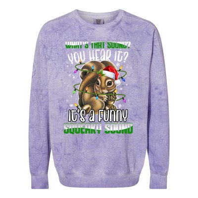 That Sound Funny Squeaky Sound Christmas Squirrel Gift Colorblast Crewneck Sweatshirt