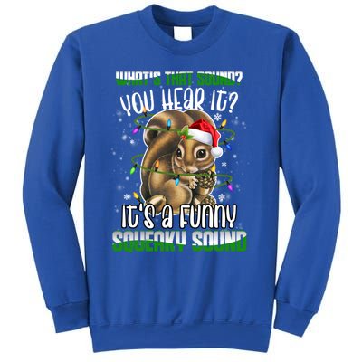 That Sound Funny Squeaky Sound Christmas Squirrel Gift Sweatshirt