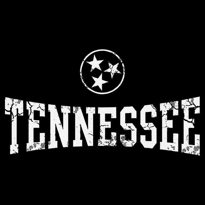Tennessee State Flag Home Tennessean Distressed Orange 16 in Basic Backpack