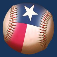 Texas State Flag Baseball Fan Poster