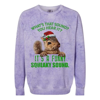 That Sound Funny Squeaky Sound Christmas Squirrel Colorblast Crewneck Sweatshirt