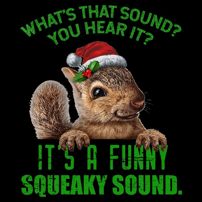 That Sound Funny Squeaky Sound Christmas Squirrel Drawstring Bag
