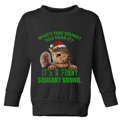 That Sound Funny Squeaky Sound Christmas Squirrel Toddler Sweatshirt