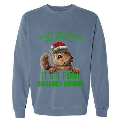 That Sound Funny Squeaky Sound Christmas Squirrel Garment-Dyed Sweatshirt