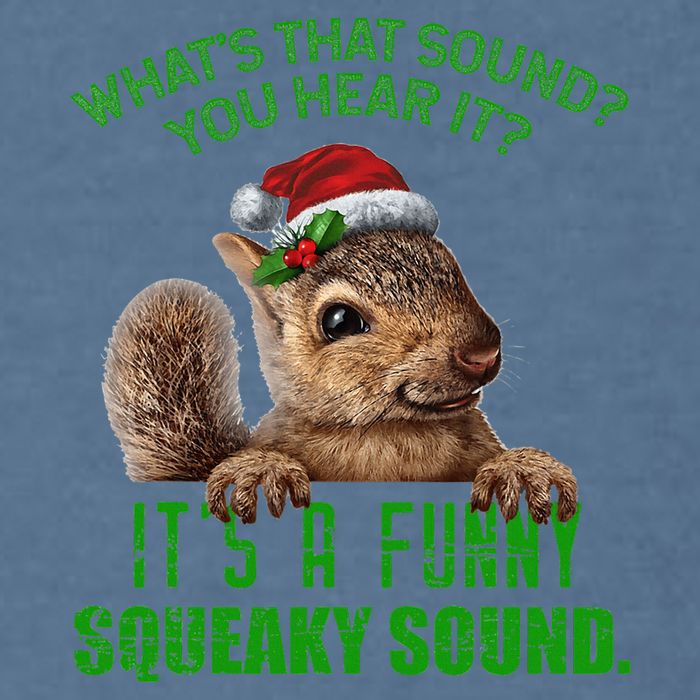 That Sound Funny Squeaky Sound Christmas Squirrel Garment-Dyed Sweatshirt