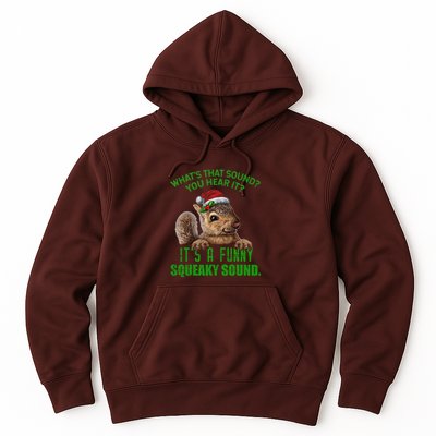 That Sound Funny Squeaky Sound Christmas Squirrel Hoodie
