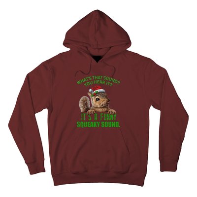 That Sound Funny Squeaky Sound Christmas Squirrel Hoodie