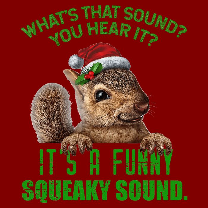 That Sound Funny Squeaky Sound Christmas Squirrel T-Shirt