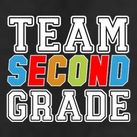 Team Second Grade Adult Drive Performance Visor