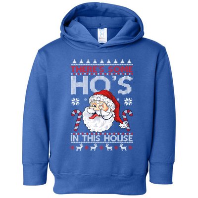 There's Some Ho's In This House Funny Santa Dirty Jokes Cute Gift Toddler Hoodie