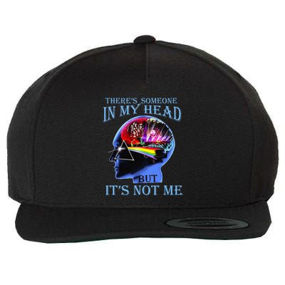 There’S Someone In My Head But It’S Not Me Wool Snapback Cap